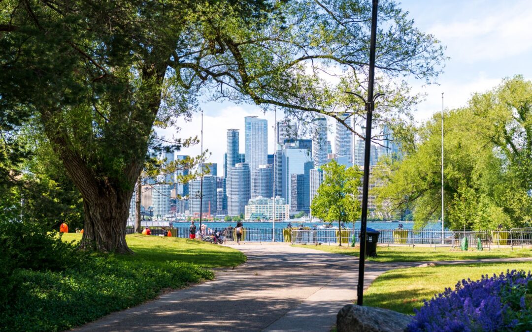 Exploring Downtown Living: What to Know Before Renting Toronto Apartments Near the Waterfront