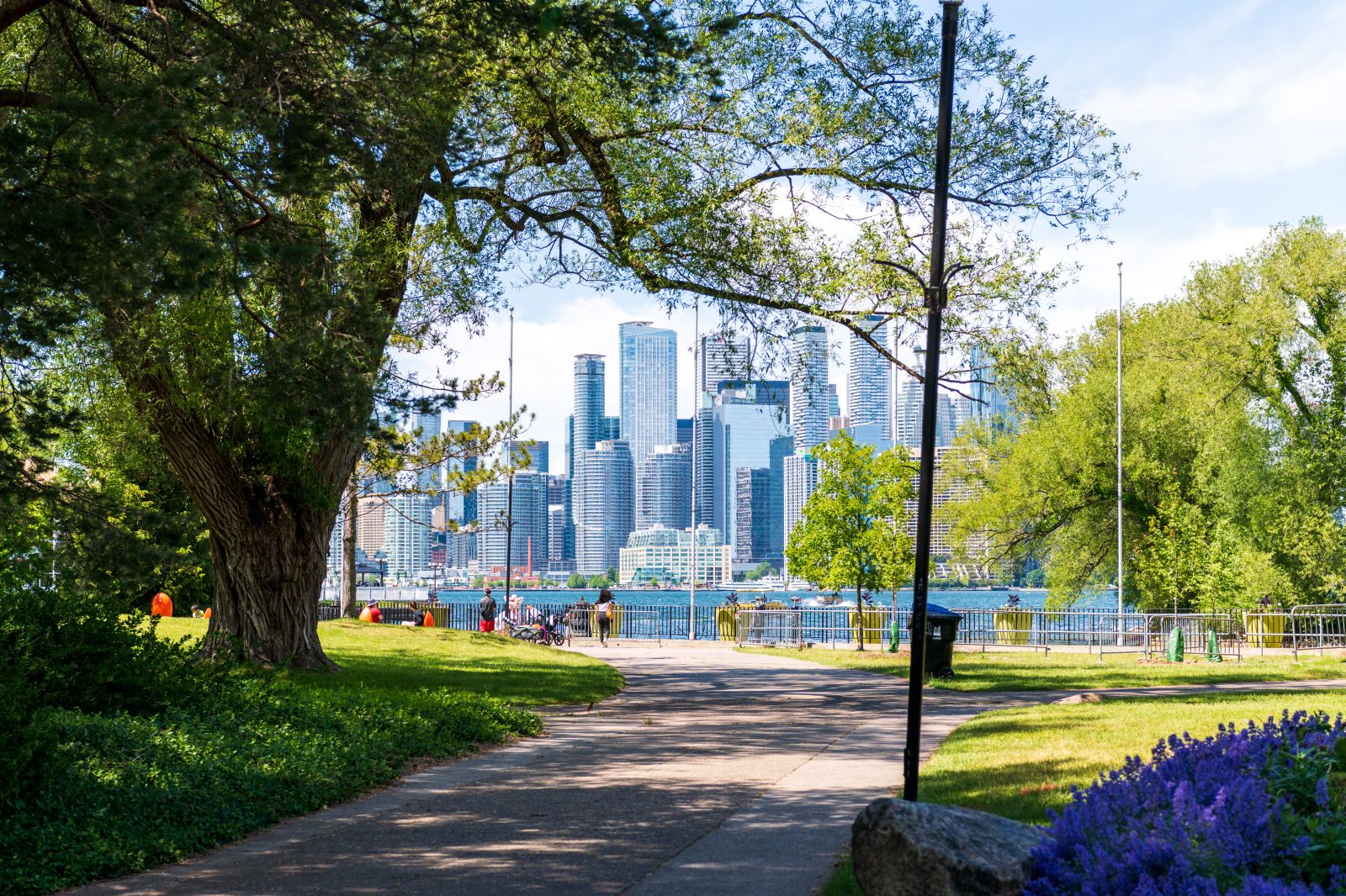 Toronto park and great lake